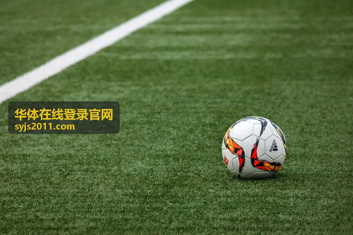 华体在线登录官网内容与公告总台封面